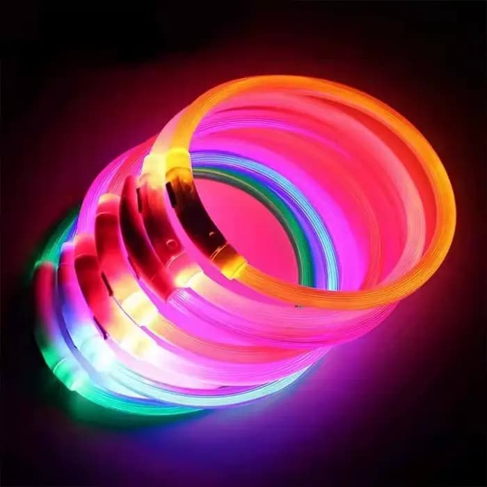 Collier de chien Led Usb collier de Charge lumineux de nuit pour chien de compagnie Led sécurité noc