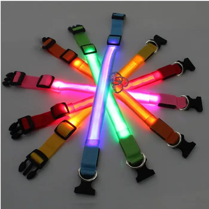 Collier de chien lumineux LED réglable clignotant Rechargea collier lumineux nuit Anti-perte harnais