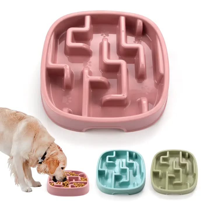 Fournitures pour animaux de compagnie chien chat Anti étouffement alimentation bols de nourriture ch