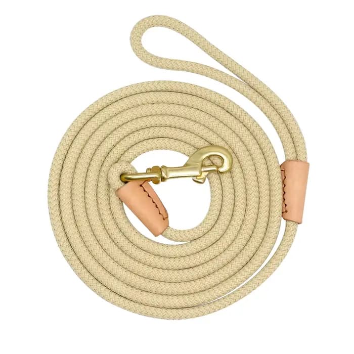 Laisse de suivi Durable pour chien, longue corde en Nylon, entraînement pour animaux de compagnie, l