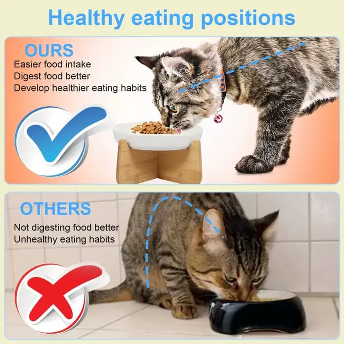 Bol pour chat surélevé bols pour chat surélevés avec support en bois bol d'alimentation lente en cér
