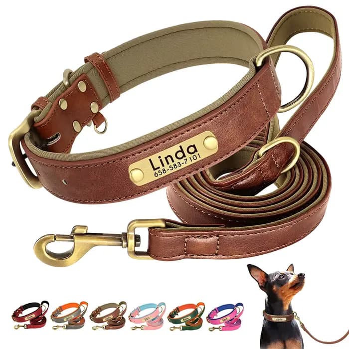 Ensemble de laisse de collier de chien en cuir personnalisé, collier en cuir rembourré souple pour p