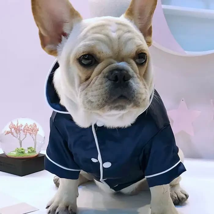 Pyjama doux de luxe pour chien de compagnie, pyjama bouledogue français, manteau pour animaux de com