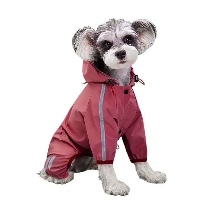 Imperméable Réfléchissant pour Chien – Vêtement de Pluie pour Animaux de Compagnie (Chihuahua, Malte