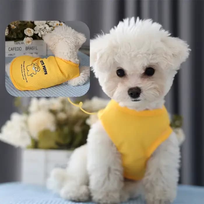 Débardeur gaufré pour animaux de compagnie, mignon et Simple, fin, chat et chien, vêtements universe