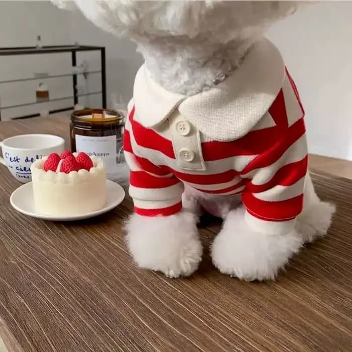 Polo d'été pour chiens, vêtements pour chiots, Bichon Frise, Chihuahua, sweat-shirt à rayures pour c