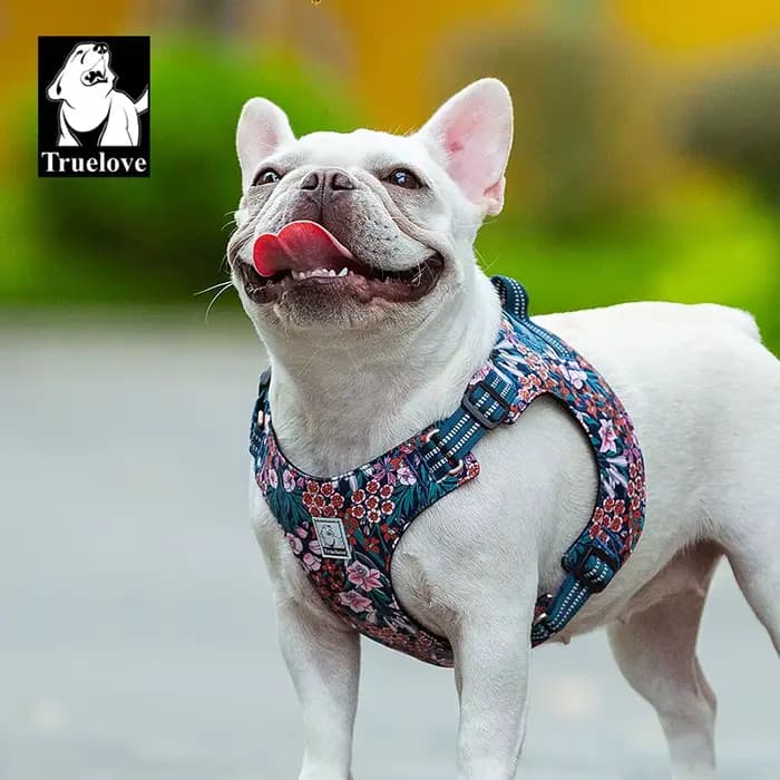 Truelove harnais pour animaux de compagnie Floral Floral harnais pour chien chien gilet Type chien c