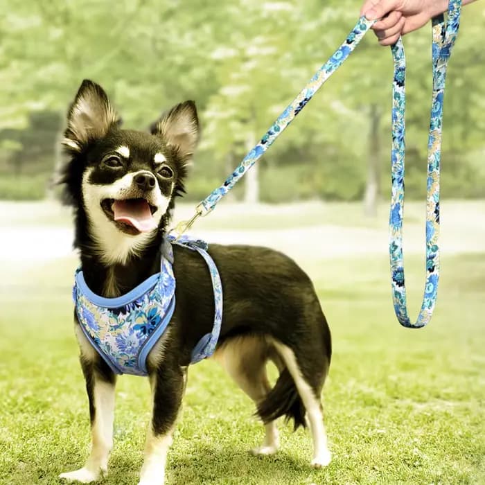 Harnais en maille et Nylon pour chien, ensemble de laisse en plomb, gilet réfléchissant pour chiens,