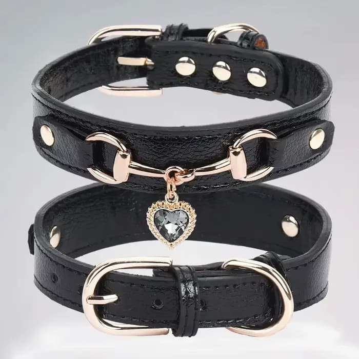 Collier pour chats, harnais et laisses pour animaux de compagnie, accessoires de marchandises, ceint