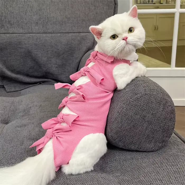 Combinaison de récupération chirurgicale pour chat, pour blessures abdominales ou maladies cutanées,