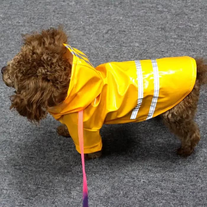 Manteau imperméable réfléchissant pour chien, imperméable, résistant à la neige, pour petits chiots