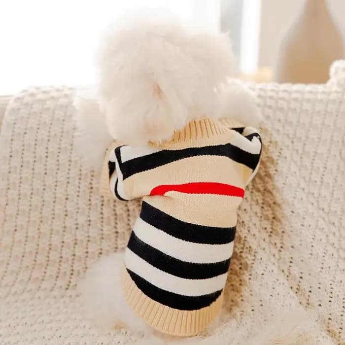 Vêtements de luxe pour petits chiens, pull chaud d'hiver pour Chihuahua bouledogue français, article