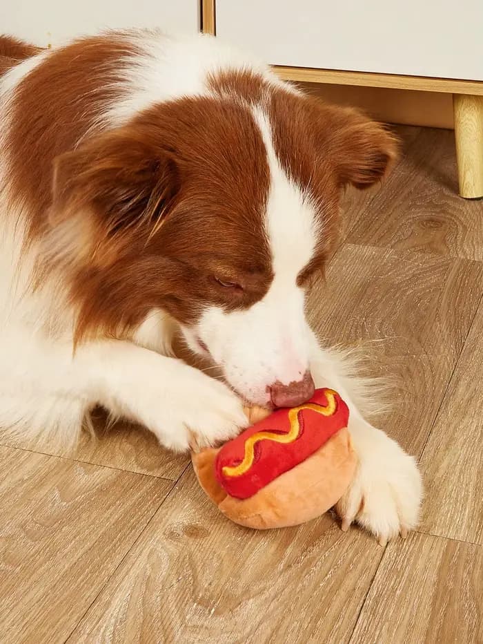 Jouet en peluche grinçant pour animaux de compagnie, conception de Hot Dog, jouet à mâcher Durable p