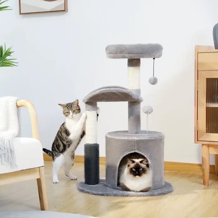 Tour de petit arbre à chat d'intérieur pour chats, jouet coule pour chat de taille moyenne, condo po