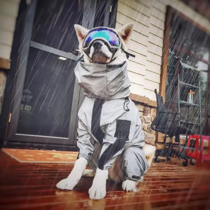 Manteau imperméable pour grand chien, protection solaire, veste réfléchissante, imperméable pour ani