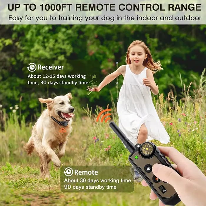 Collier de dressage électrique pour chien, télécommande, étanche, arrêt des aboiements pour chien de
