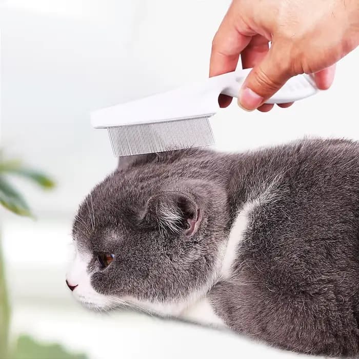 Peigne de perte de poils d'animaux, peigne à puces en acier inoxydable pour chat, chien, confort des