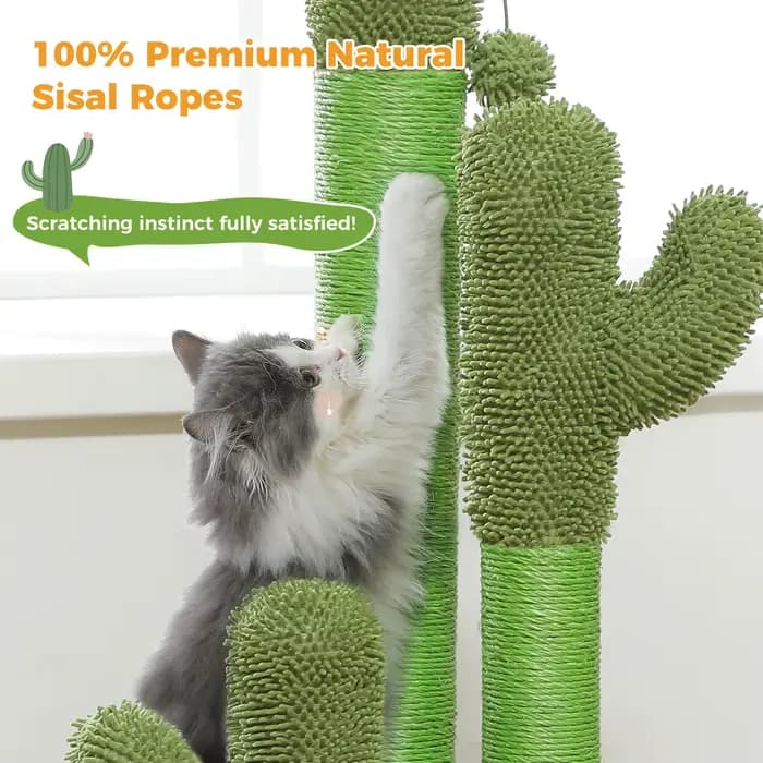 Arbre à chats cactus pour chats d'intérieur, grand griffoir avec 3 poteaux en sisal, balle suspendue
