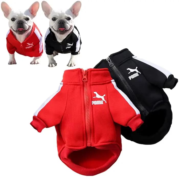 Veste de baseball pour chien, vêtements d'hiver pour chiens de petite et moyenne taille, gilet pour