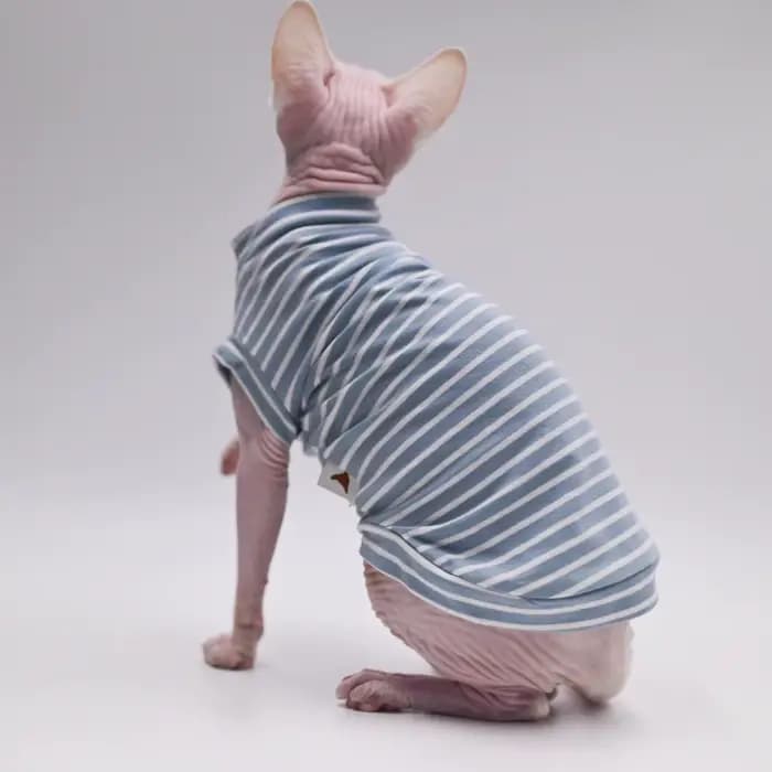 Sphynx chat vêtements coton sans poils chat gilet bébé 100% coton doux été sans manches mince gilet