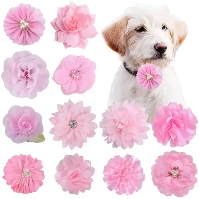 10 pièces fait à la main chien noeud papillon chiot Clolorful fleur collier pour petits chiens anima