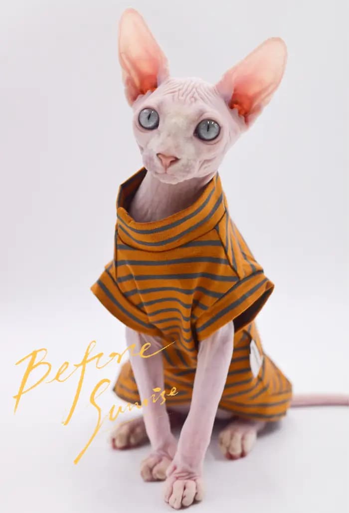 Vêtements d'été en coton respirant pour chat sans poils, glaçure fine pour Sphynx,Devon Rex ,Cornish