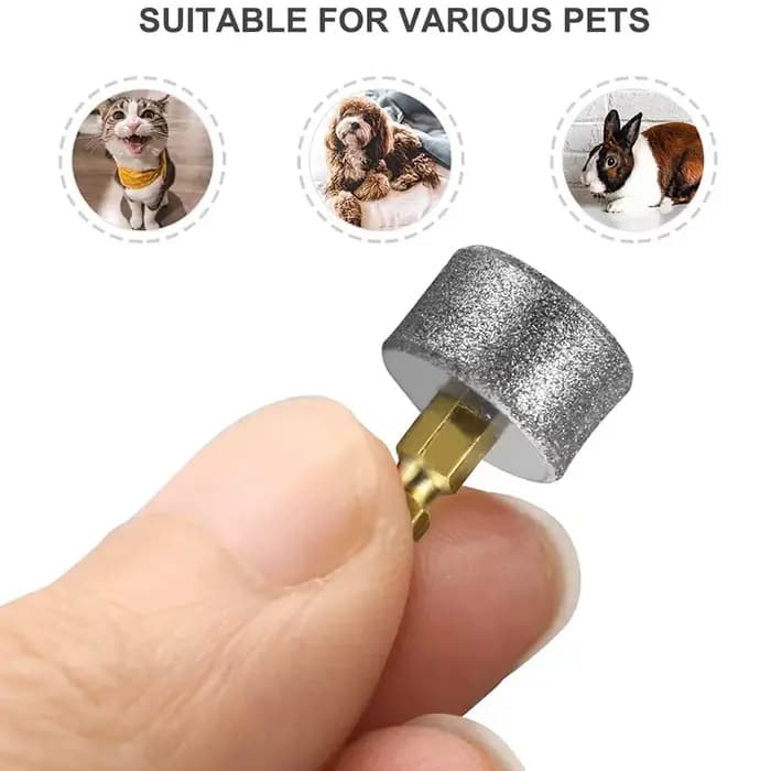 3/5 pièces chiens électrique polisseuse à ongles roue remplacement tête de meulage broyeur à ongles
