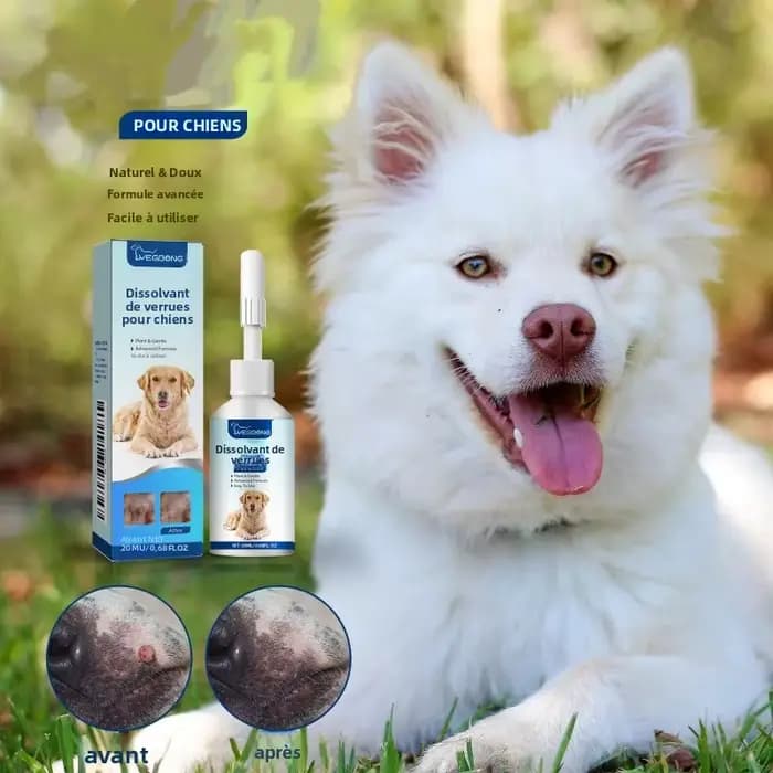 Liquide de soin de la peau pour animaux de compagnie, soulagement des démangeaisons, réparation des