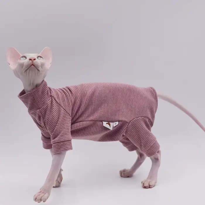 Vêtements pour chats sans poils, sweat à capuche chaud et doux à quatre pattes pour chats Sphynx pou