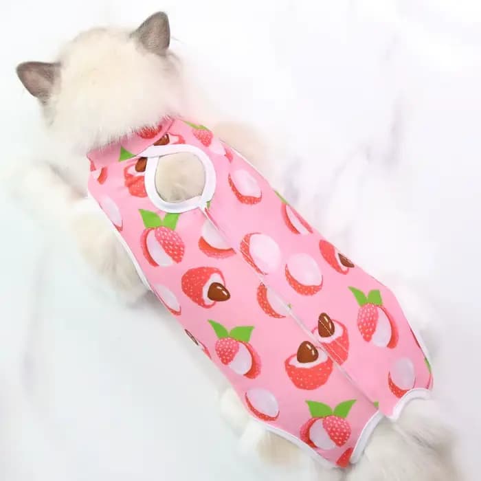 Combinaison de stérilisation pour chat, combinaison pour petits chiens et chats, vêtements de récupé