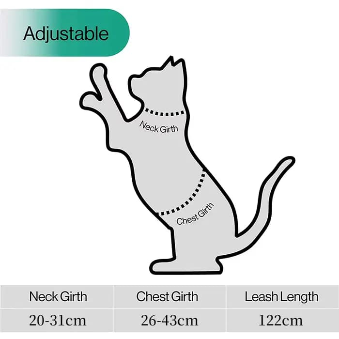 Ensemble harnais et laisse pour chat, harnais réglable anti-évasion pour chaton, pour grands et peti