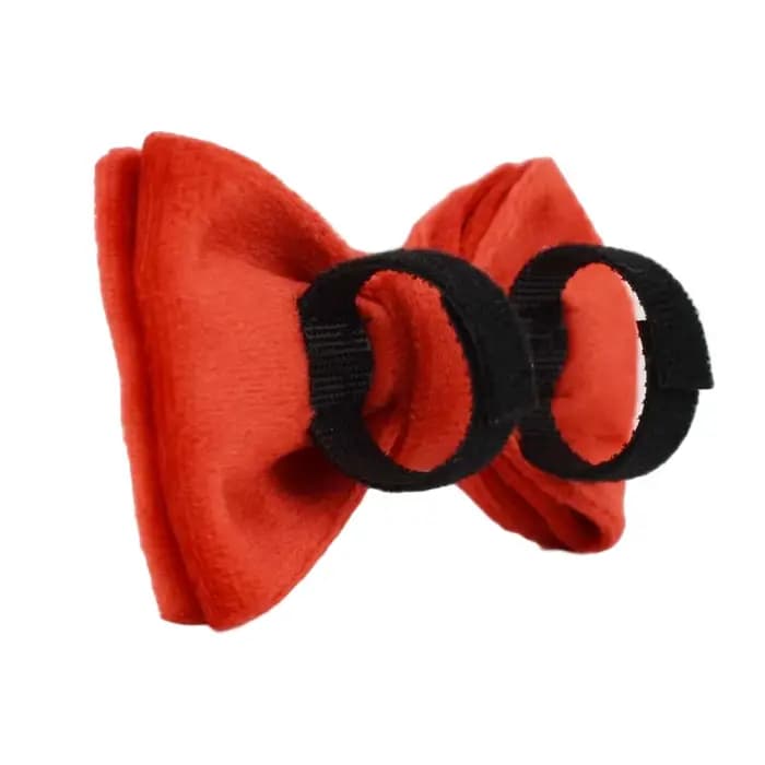Collier personnalisé pour chat chaton collier velours chiot petits chiens colliers personnalisé grav