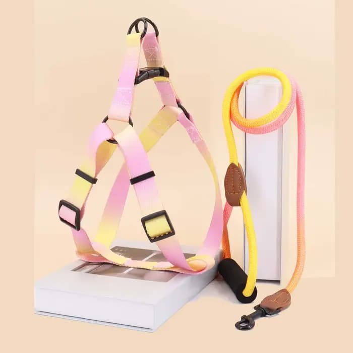 Harnais coloré pour animaux de compagnie avec laisse et laisse pour chien, utilisation intérieure et