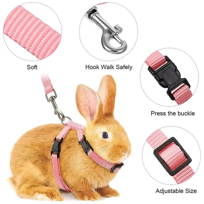Original Ensemble harnais et laisse pour chat lapin, harnais en Nylon réglables pour lapin chaton, f