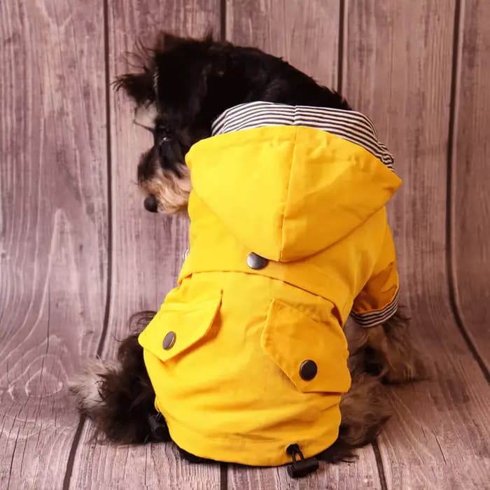 Grand chien vêtements imperméable chien imperméable veste coupe-vent pour animaux de compagnie Labra