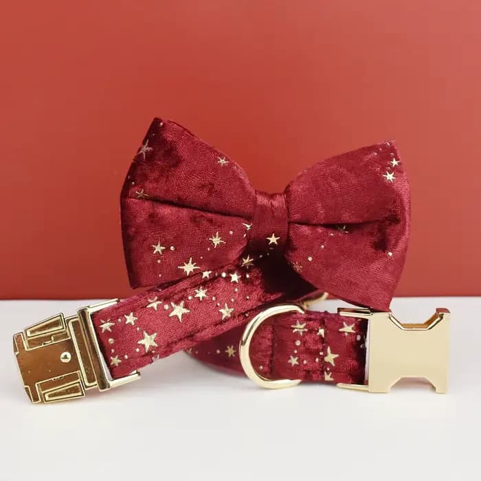 Accessoires de luxe pour animaux de compagnie, design personnalisé, logo, collier, laisse et harnais