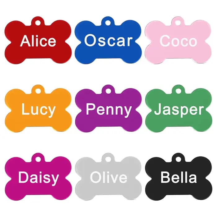 Étiquette d'identification personnalisée pour chiens et chats, en alliage personnalisé, accessoires