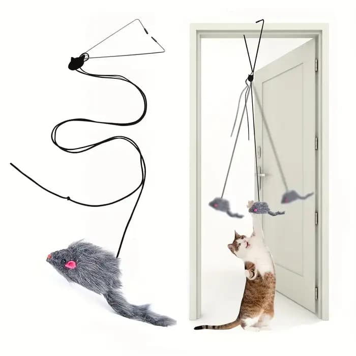 Jouet pour chat à suspendre à la porte, anti-stress, pour salon, jouet suspendu pour chaton