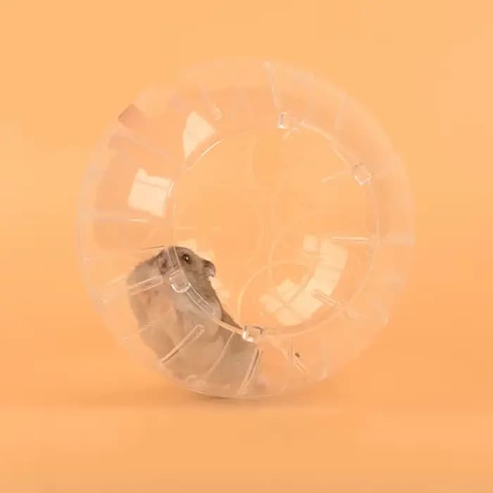 12 14.5cm Hamster souris sport Fitness balle de course drôle jouet pour animaux de compagnie pour Mi