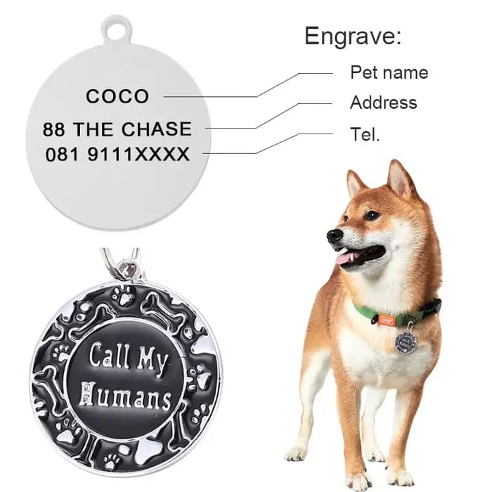 Étiquette d'identification de chien de compagnie gravée gratuitement, étiquette d'identification per