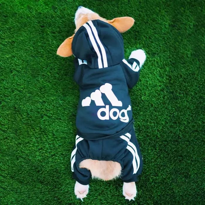 Sweat à capuche pour chien à quatre pattes, combinaison pour chiot, salopette avec lettres pour peti