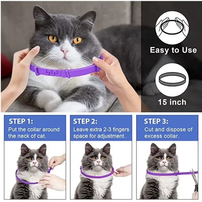 Collier apaisant réglable pour animaux de compagnie, collier pour chats et chiens, réduction de l'an