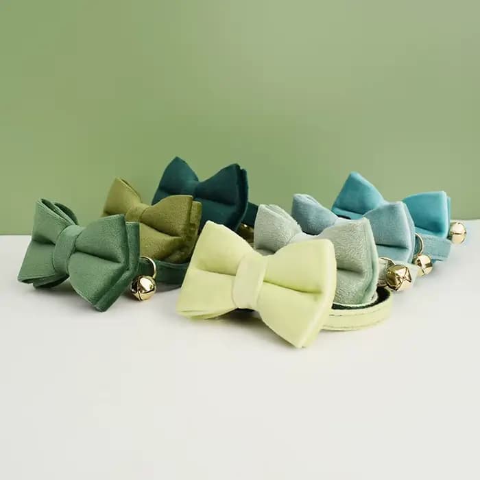 Collier de chat en velours avec nœud papillon, personnalisé pour chats, fournitures pour chats, cein