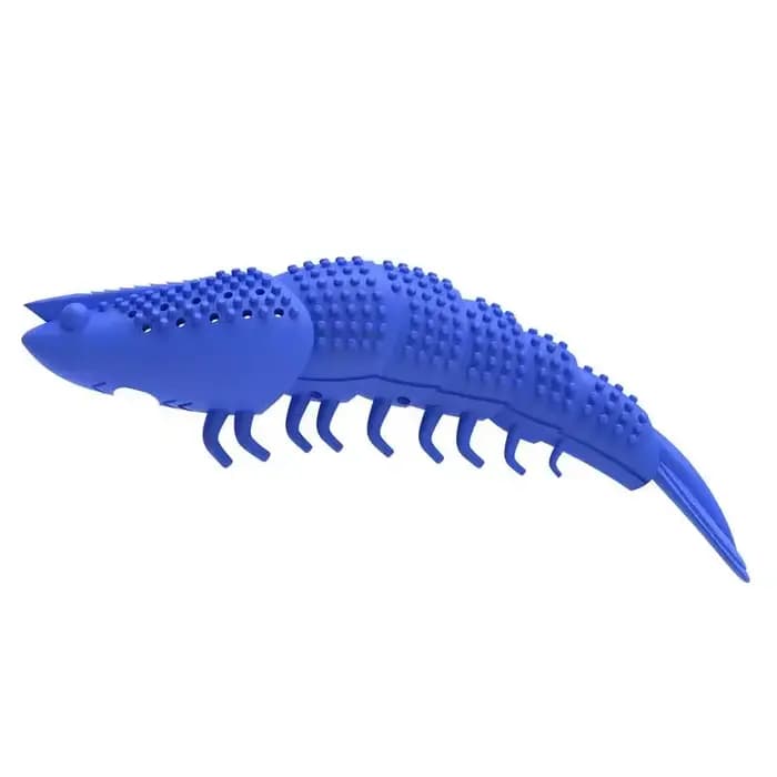 Jouets pour chat, brosse à dents, herbe-aux-chats, jeux interactifs, caoutchouc dur Durable 360 °