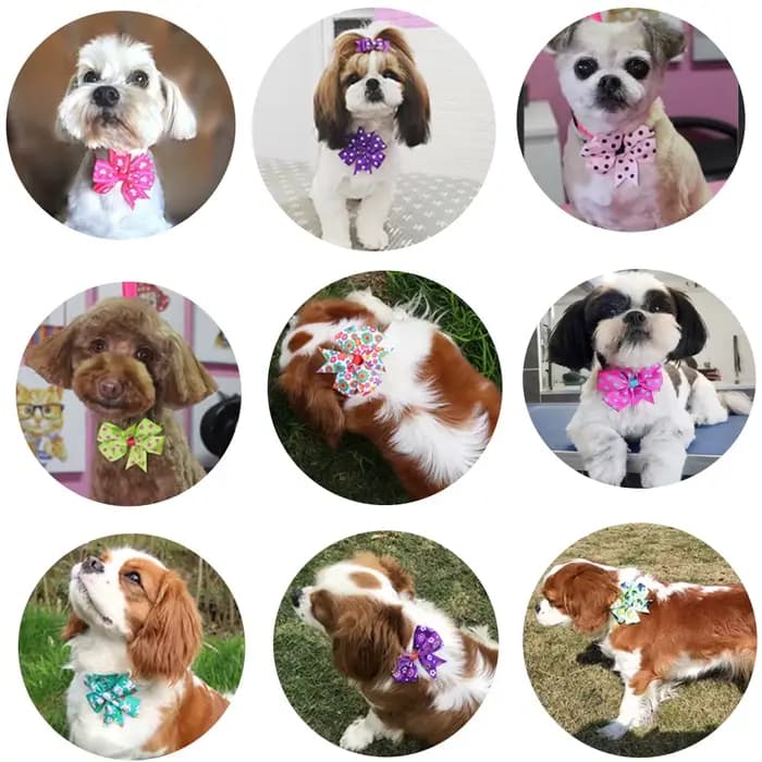 50pcs chien noeud papillon point solide noeud papillon collier pour petits chiens pour chien bricola