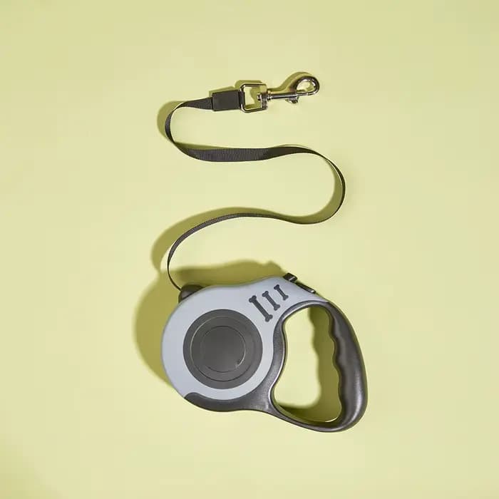 Laisse pour chien de 3m 5m, pour petits et moyens chiens, corde en Nylon rétractable automatique, Ex