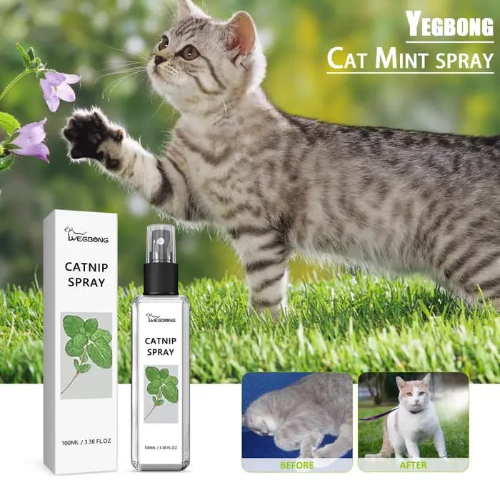 Spray d'herbe à chat pour chats, avec brume de menthe pour animaux de compagnie, ingrédients sains,