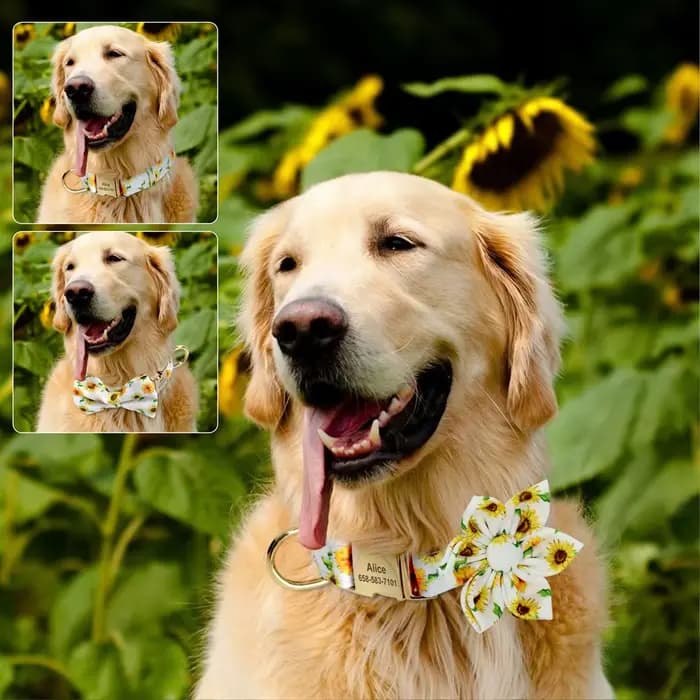 Collier de chien personnalisé imprimé pour fille avec nœud papillon floral, plaque d'identification