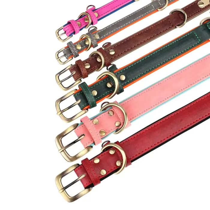 Ensemble de laisse de collier de chien en cuir personnalisé, collier en cuir rembourré souple pour p