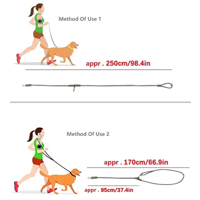 Laisses en nylon coulé pour chiens de compagnie, ULde traction, laisses pour courir, mains libres, p